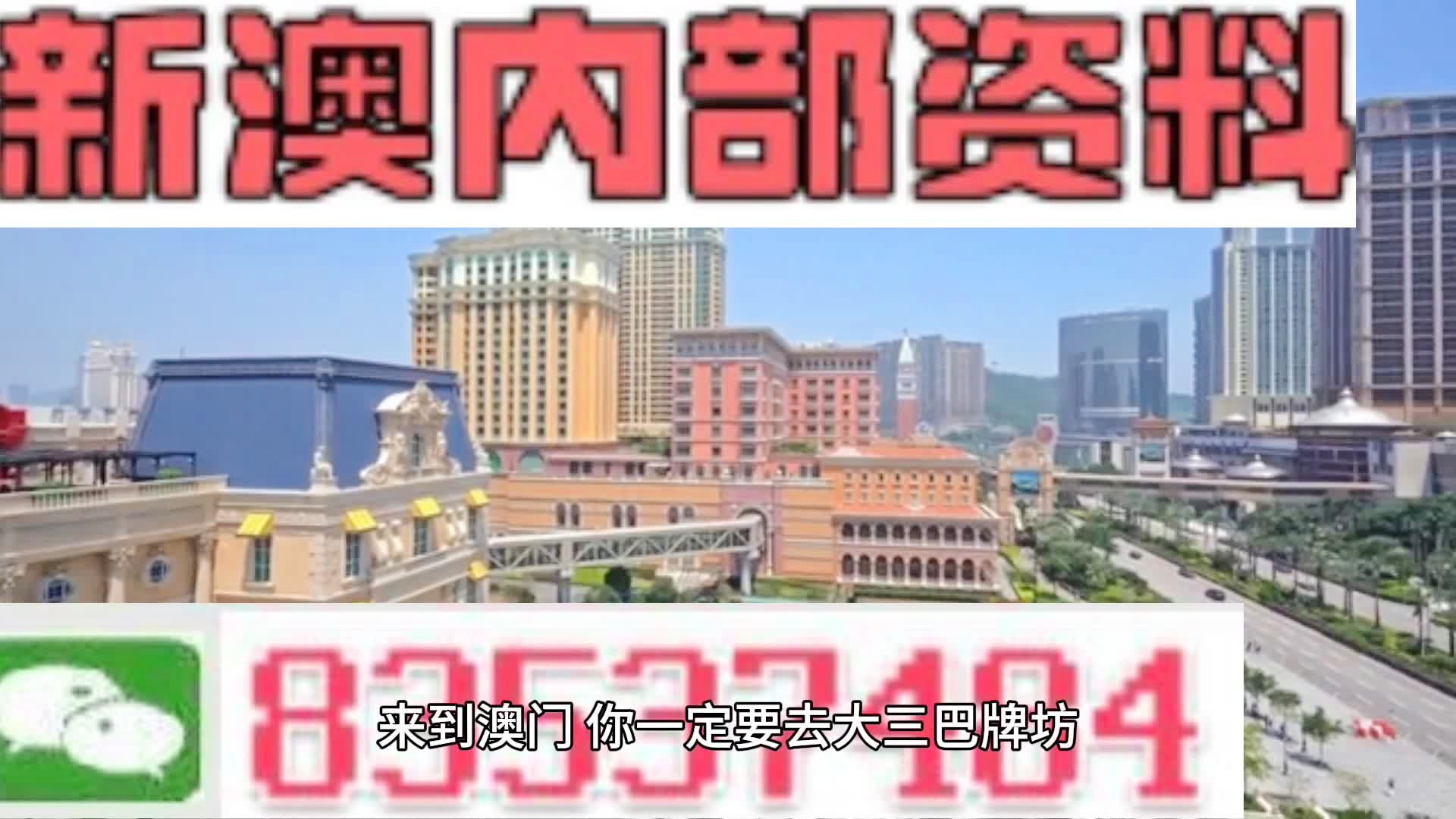 新澳门资料免费资料,全面释义解释落实,VIP版240.300